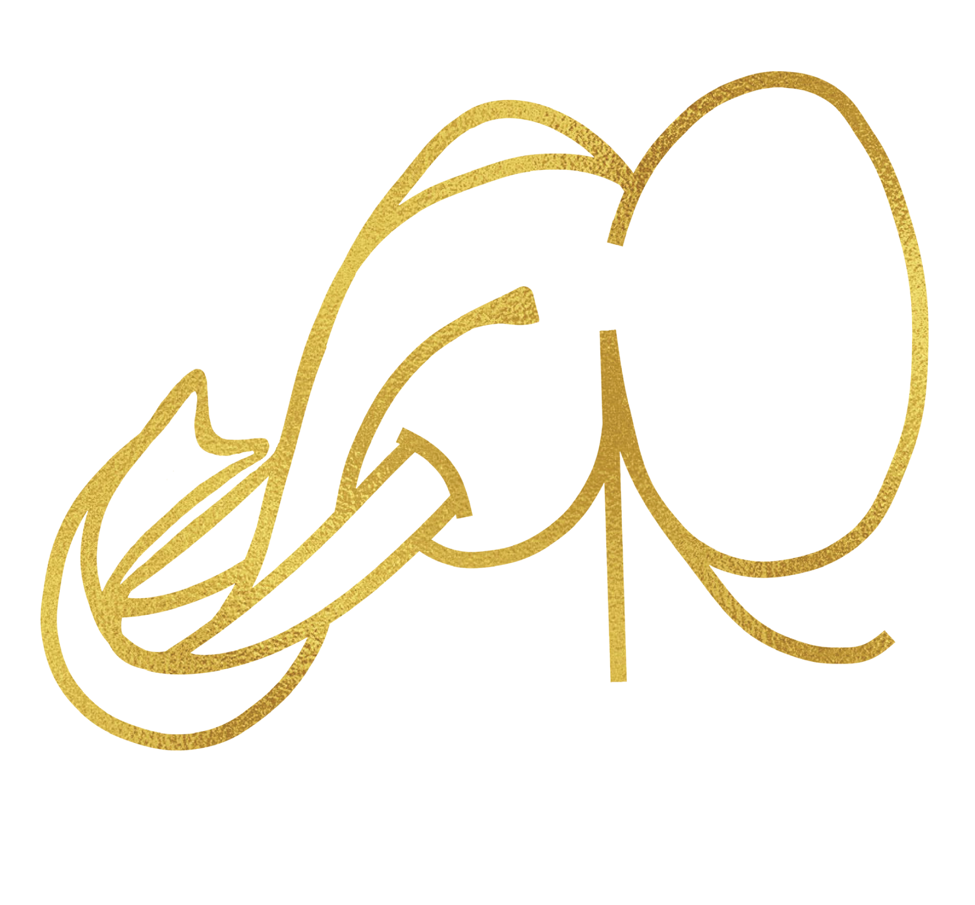 AROnly_Logo_GoldWhite